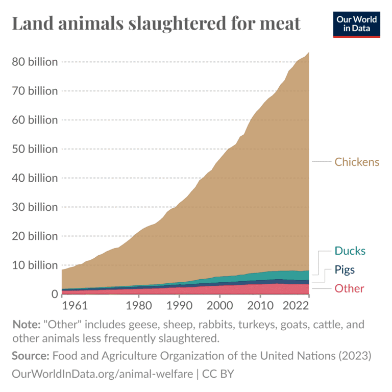Grafu ya mstari kutoka Our World in Data inayoonyesha ongezeko kubwa la wanyama wa nchi kavu waliochinjwa kwa ajili ya nyama kuanzia 1961 hadi 2022, huku kuku wakiwakilisha sehemu kubwa zaidi.