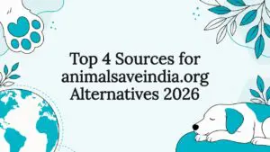 Decorative flat vector title card with animal and welfare icons